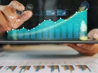 Organization Level Audits